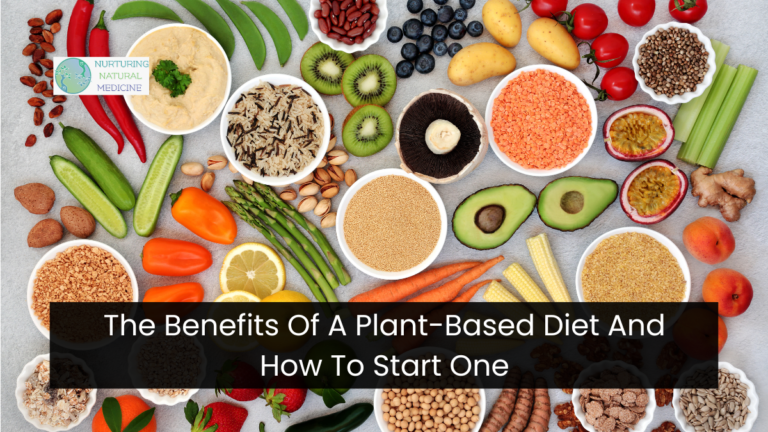 The Benefits Of A Plant-Based Diet And How To Start One