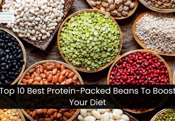 Top 10 Best Protein-Packed Beans To Boost Your Diet