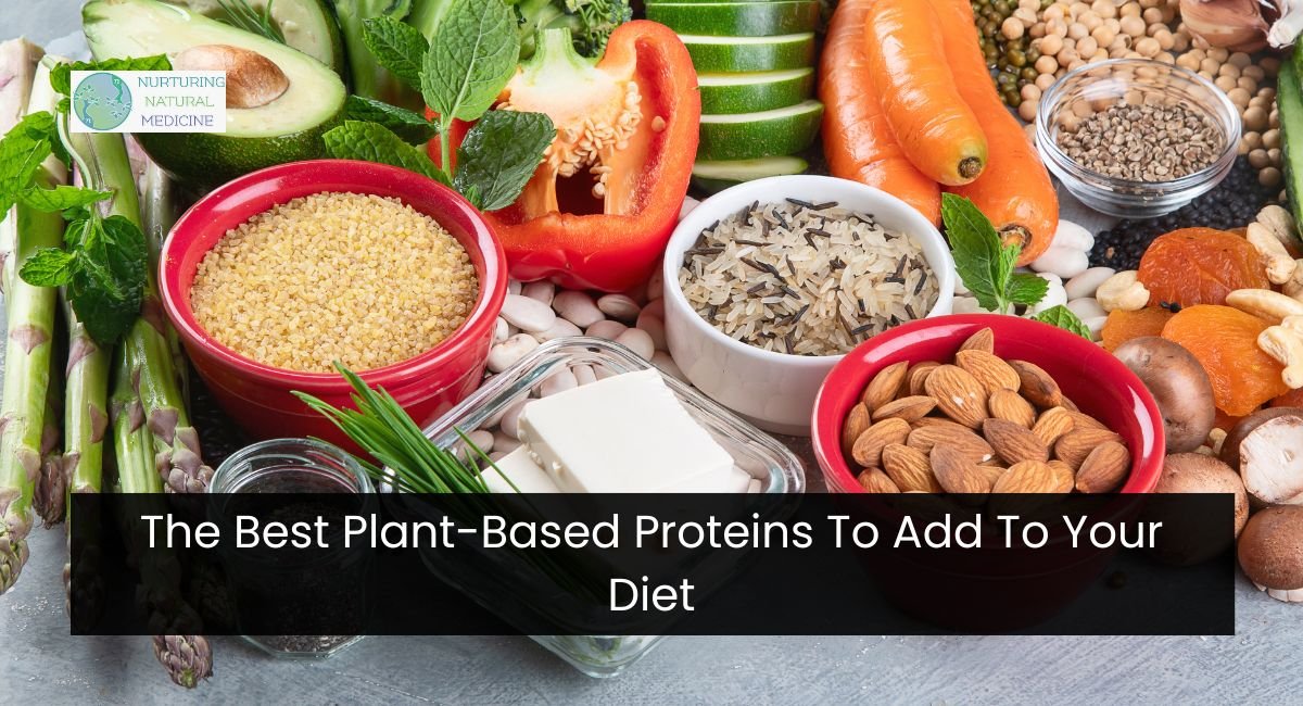 The Best Plant-Based Proteins To Add To Your Diet